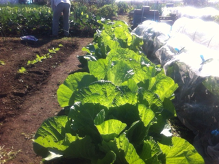 image-20111116132009.png