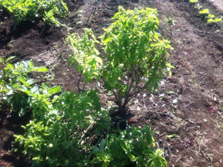 image-20111116132100.png