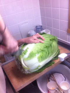 image-20111116132150.png
