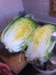 image-20111116132220.png